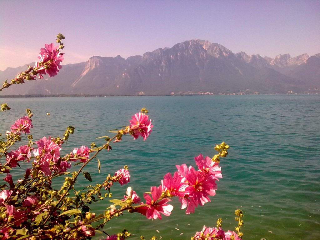 Bild0075 Bild0075